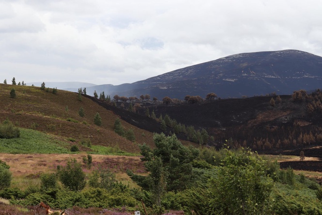 Wildfire cordon around village could be lifted on Friday, says fire service