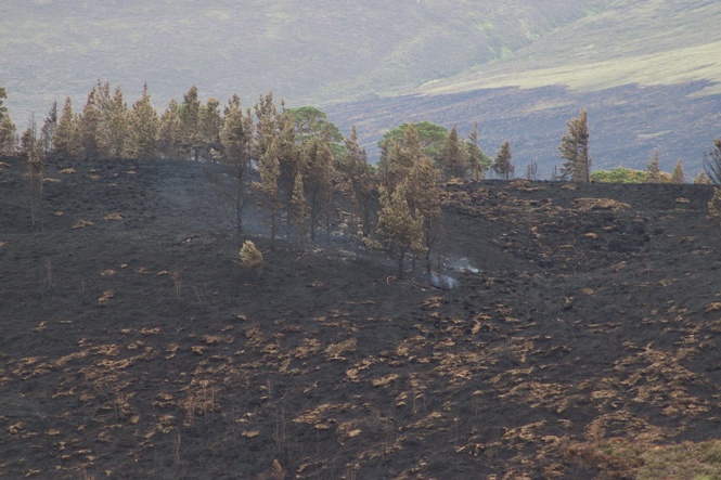 Part of wildfire cordon around village to be lifted on Friday morning