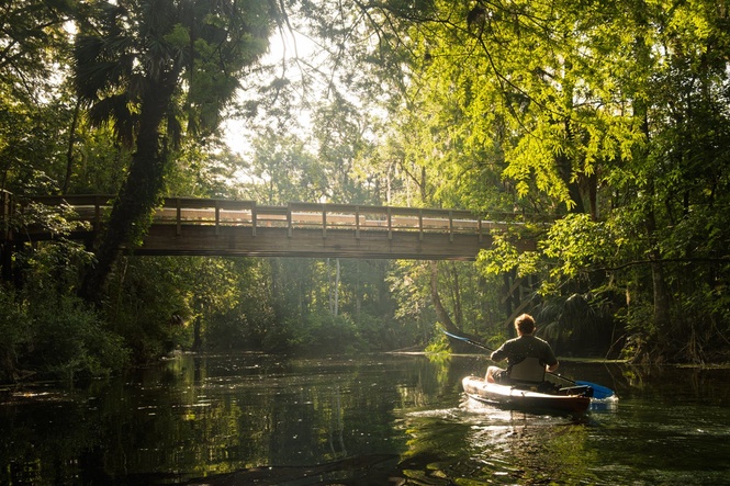 Swimmer tried to fight off alligator during attack in Florida’s idyllic springs