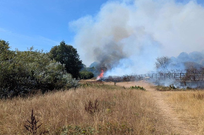 Major grass fire breaks out in Exeter as people told to avoid area