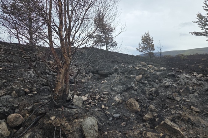 Public told to use ‘extreme caution’ as wildfire warning issued for Scotland