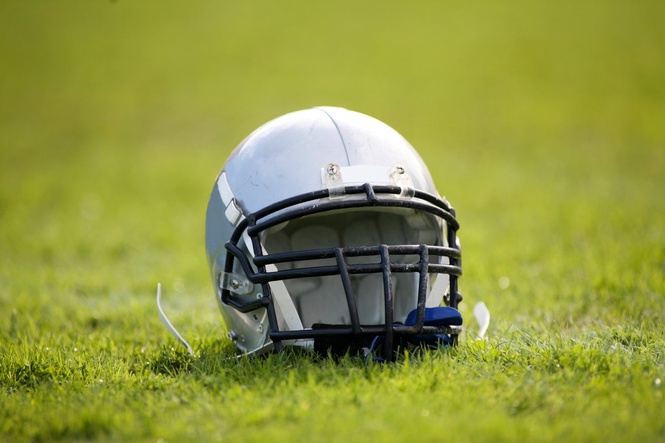 Venomous snake found in student’s helmet after he felt unusual movement in headgear