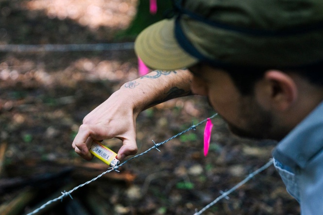 How many bears are there in CT? Here’s what it takes to find out.