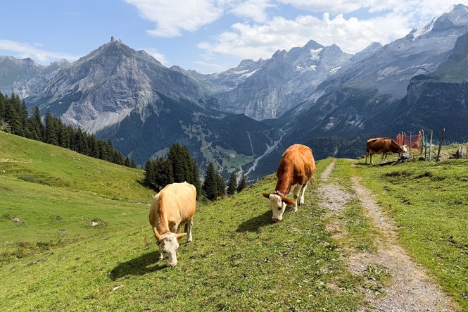 Swiss village could disappear forever amid landslide threat
