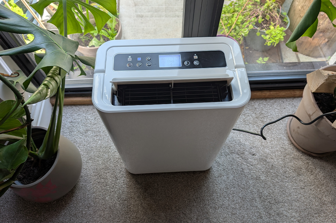 The true cost of running a dehumidifier, according to experts