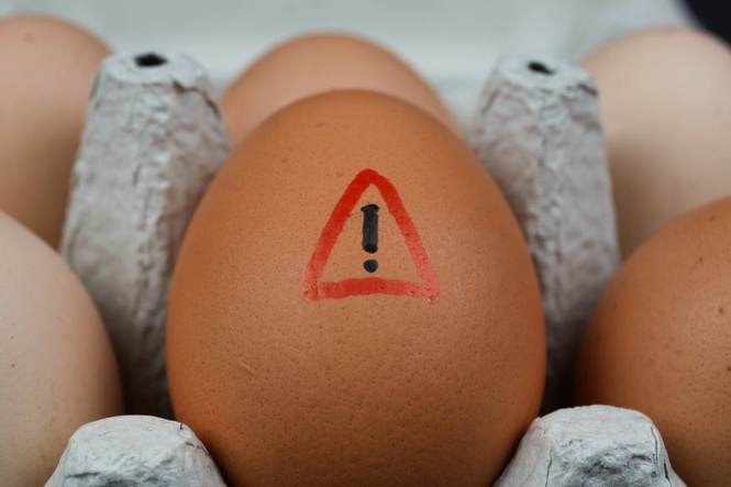 UK salmonella cases rise once again – what we know