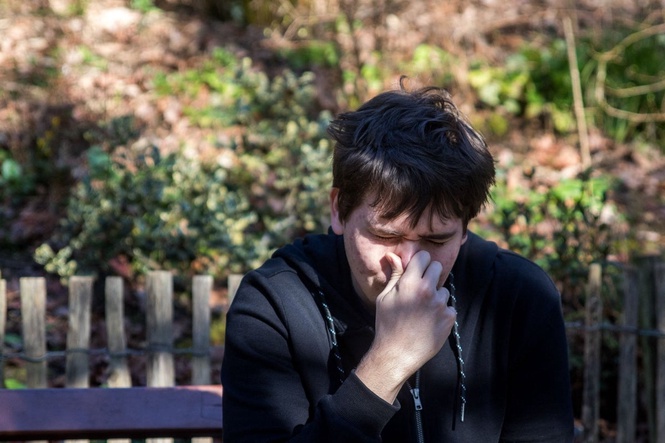 This is where pollen is forecast to surge in the US this fall