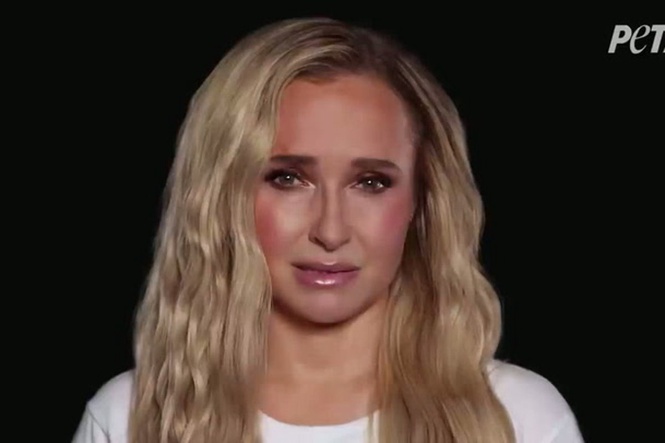 Hayden Panettiere stars in PETA campaign filmed weeks before her death