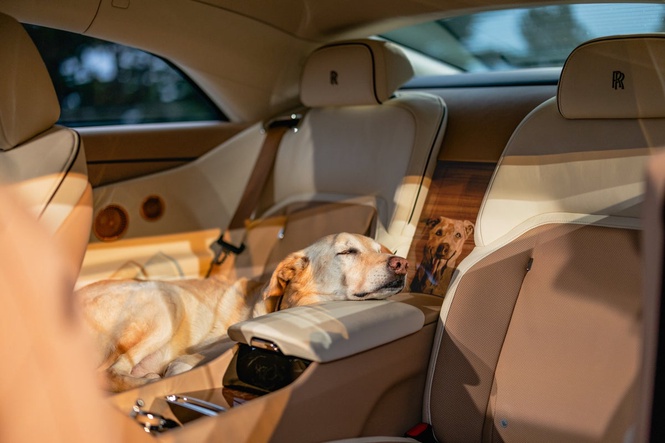 American couple create one-off Rolls-Royce in unique tribute to their dog