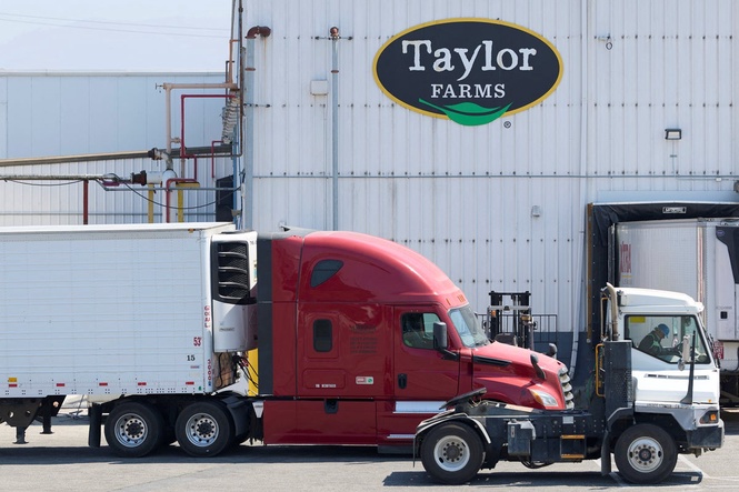 Cyclosporiasis outbreak may expand due to latest iceberg lettuce recall