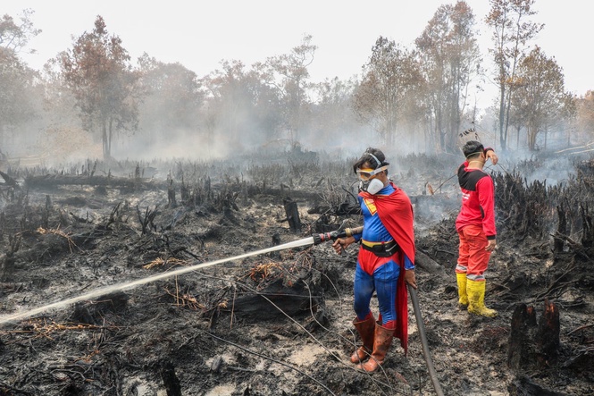 Dozens arrested after vast forest fires in Indonesia