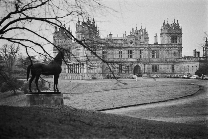Grade-I listed stately home where Batman was filmed risks being seized – over bat surveys