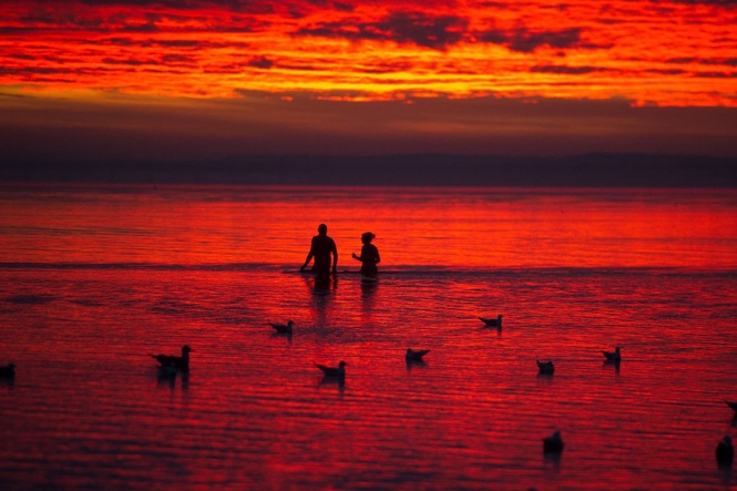 Global sea surface temperatures are at the highest levels on record — and potentially in millennia