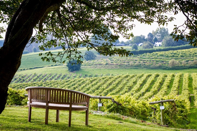 I’m a travel expert and these are eight great value autumn holidays