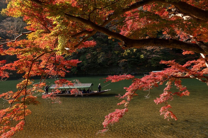 Where to see America’s best fall foliage this year