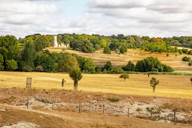 National Trust estate faces shortage of hay due to drought conditions