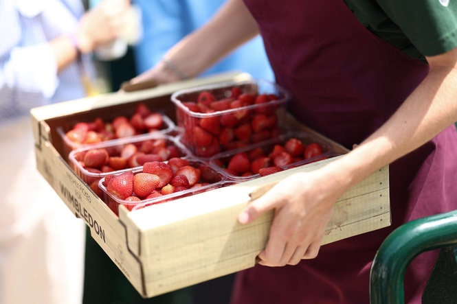 Record-breaking heatwaves lead to bumper berry crops after summer of wildfires and water shortages
