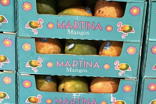 Mangoes recalled in four states as FDA warns of salmonella risk
