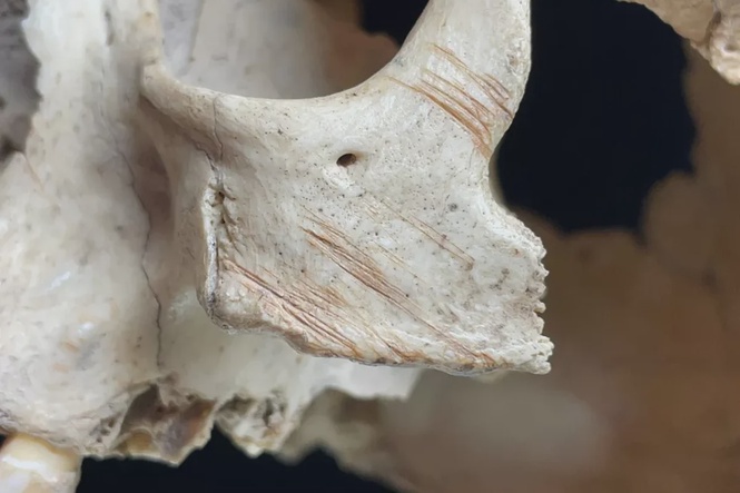 Early Europeans resorted to cannibalism several times over thousands of years, cave fossils reveal