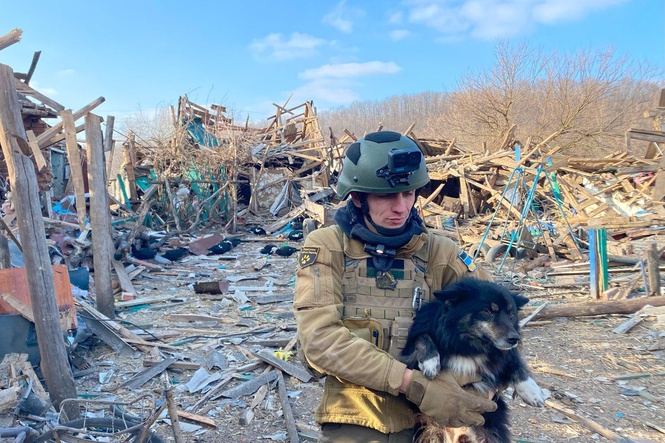 Animal rescuers severely injured in Russian drone attack while saving dogs in Ukraine
