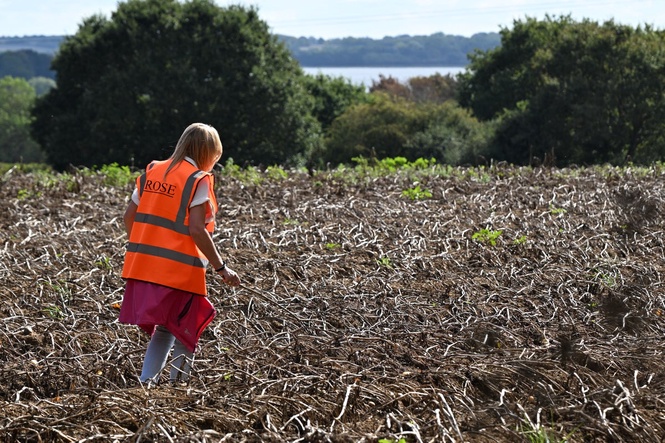 Police keep open mind on missing Noah, 3, but ‘nothing to indicate criminality’