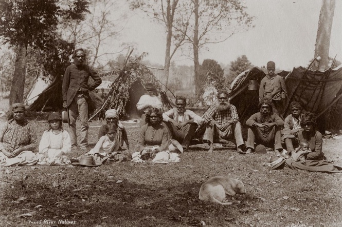 Australia may have had a much larger Indigenous population before Europeans arrived