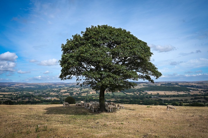 ‘Final taste of summer’ for UK as heat dome sends temperatures rising