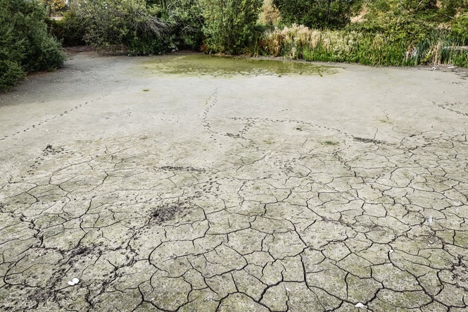 ‘Nine in 10’ adults cut back on water use as drought continues