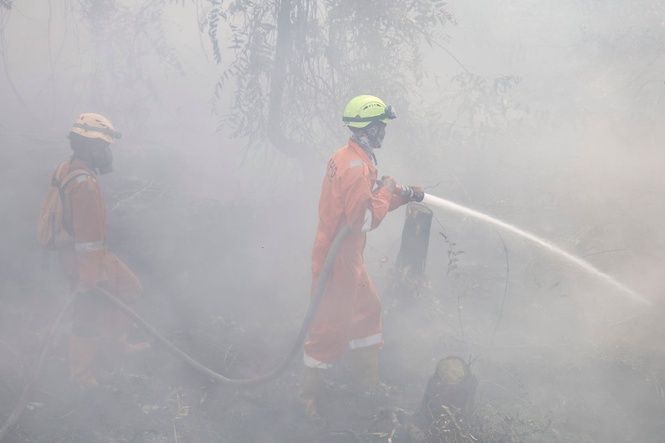 Almost 170 patients evacuated from psychiatric hospital threatened by spreading wildfires in Indonesia