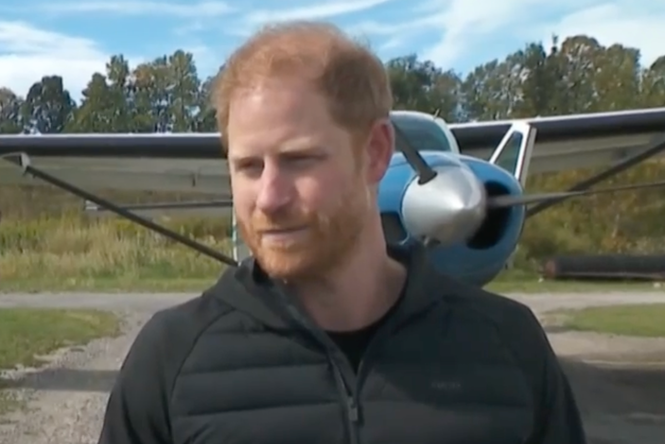 Prince Harry keeps promise to 102-year-old war veteran with charity skydive