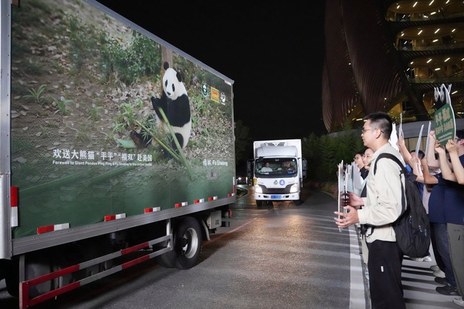 2 giant pandas set off to Atlanta zoo from China after Xi-Trump summit