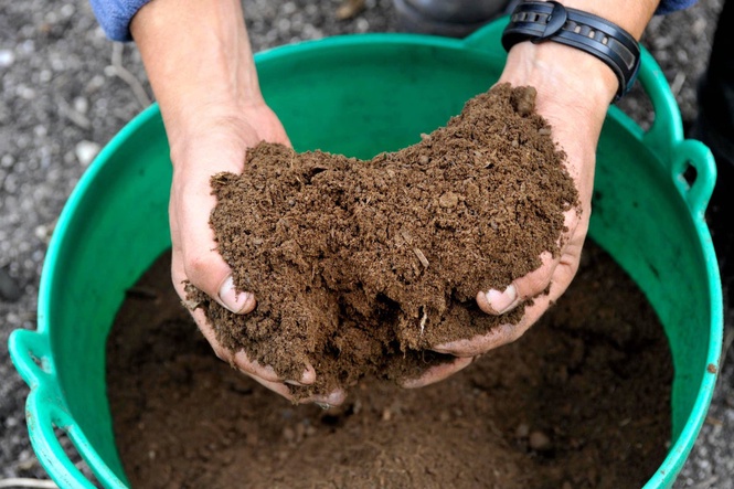 A horticulturist’s simple guide to successful composting