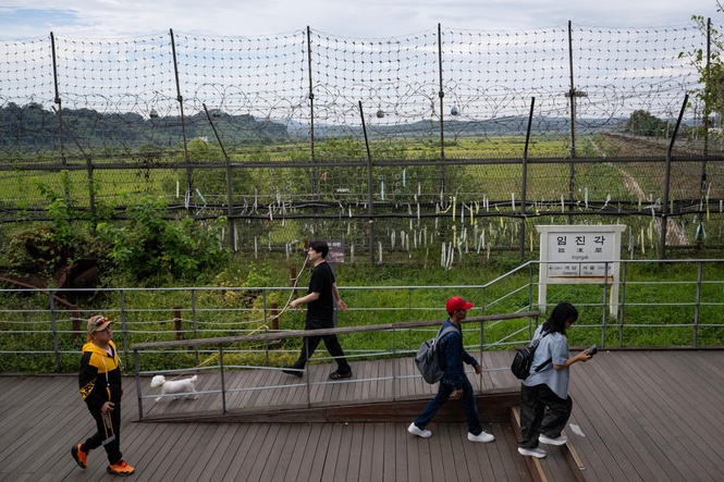 South Korea demands apology from Kim Jong Un over ‘North Korean landmines’ in DMZ