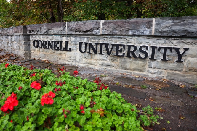 Cornell University vandalized with graffiti as protests over alleged gang rape continue