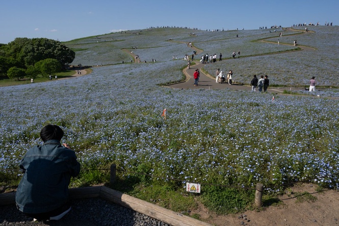 Spectacular 350km walking trail opens to tourists in Japan
