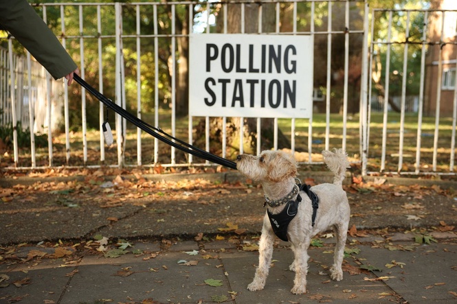 Holborn and St Pancras by-election live: Voting opens in big test for Burnham against Polanski in Starmer’s old seat
