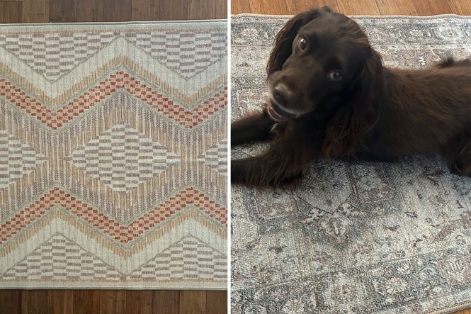 Ruggable vs Kukoon: Which washable rug is better?