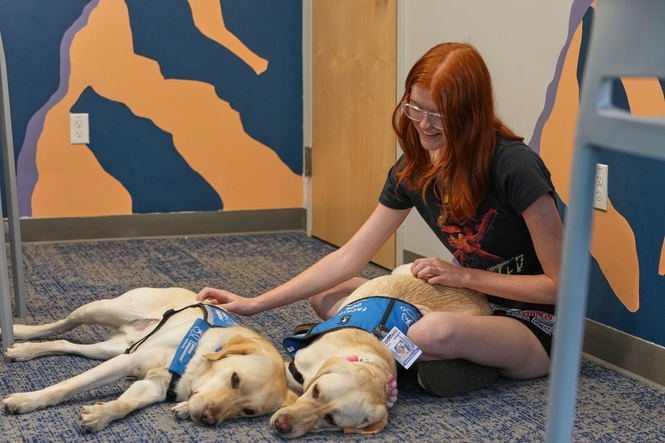 Therapy dogs bring calm and joy to students following shooting at Colorado high school