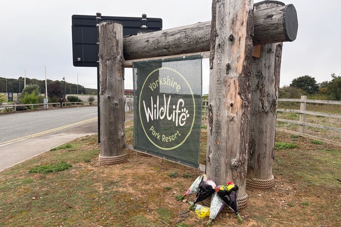 What happened in the Yorkshire tiger attack? Police issue update on man killed in enclosure