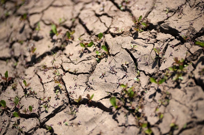 The six regions of England where severe drought has been declared