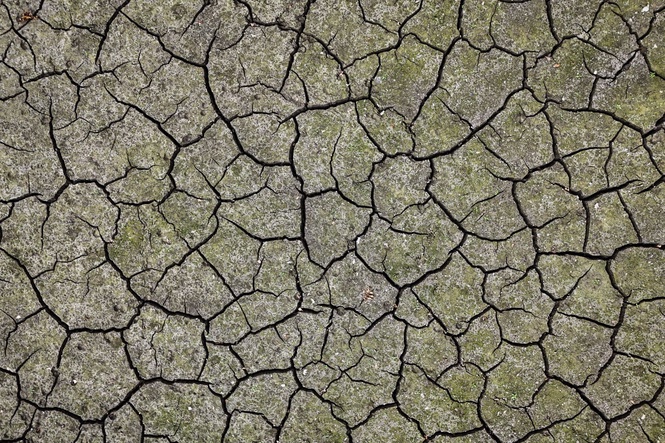 Parts of England in severe drought as water supplies ‘under immense pressure’