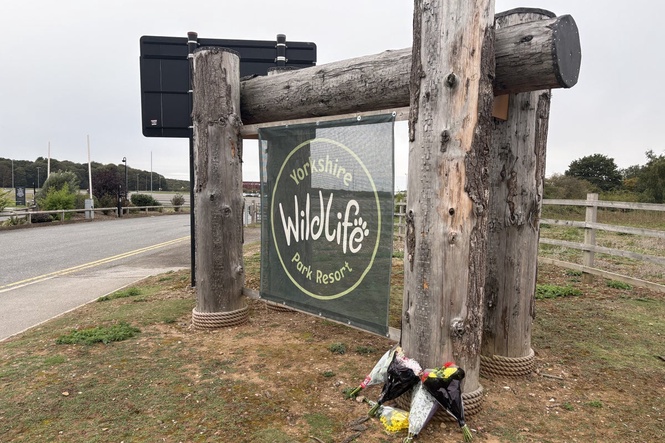 Visitors return to Yorkshire Wildlife Park six days after man killed by tiger