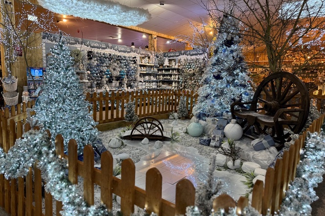 How to get the most out of your garden centre this Christmas