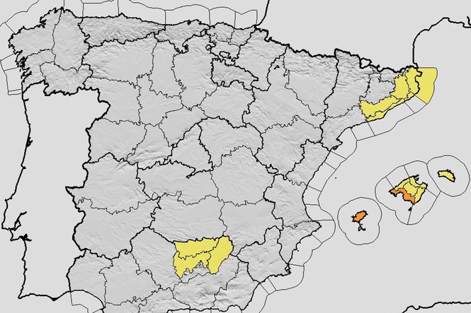 Storm Adam death toll hits 5 as Spain battered by torrential rain - see the latest forecast