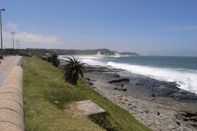 Swimmer killed in shark attack in South Africa