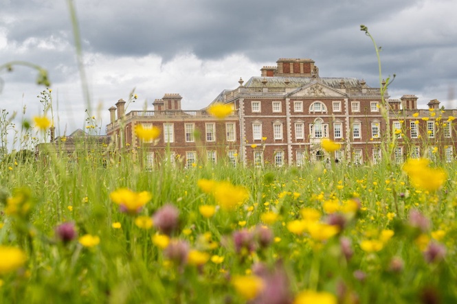 Wildlife bucks challenges with 5,000 species recorded at National Trust estate
