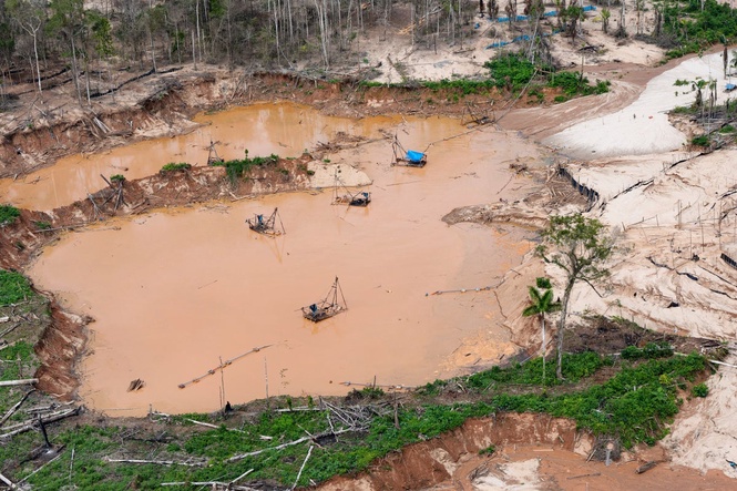 Human rights commission urges oversight of technology used in Latin American environmental crime