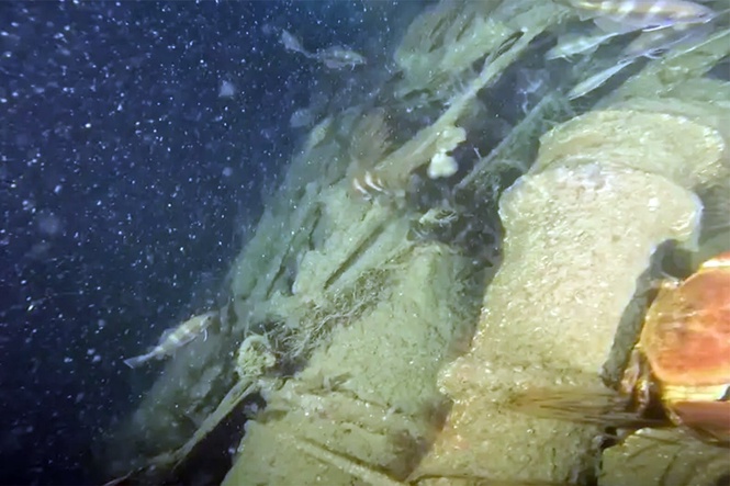 Second World War German U-boat wreck discovered off Devon coast