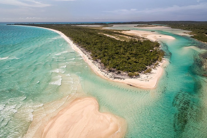 British woman dies in Bahamas while trying to save children swept away while snorkelling