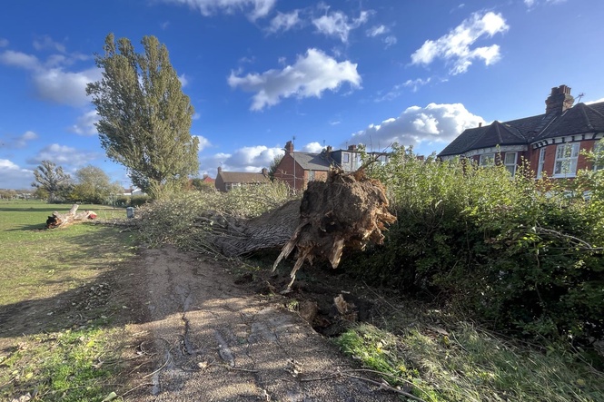 Windy weather persists in Scotland after deadly storms over weekend